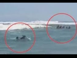 Wisata Pantai Tiris Menelan Korban Bosah Asal Pabean Iir Akibat Terseret Arus