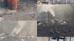 Ada Apa di PT Elang Perdana? Pengurus PT Mitra Lempar Tanggung Jawab ke Desa, Penguasa Setempat Diduga Alergi Wartawan