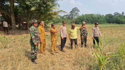 Sinergi Tiga Pilar Desa dan MPA, Polsek Tanjung Raja Pantau Wilayah Rawan Karhutla
