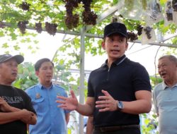 Dari Kebun Melon dan Anggur di Natar, Bupati Egi Dorong Tumbuhnya Desa-Desa Produktif