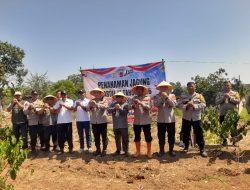 Swasembada Pangan, Polresta Bandung Gelar Penanaman Jagung Serentak Kwartal III Tahun 2026
