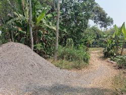 Proyek BKK Ditemukan Tanpa Papan Nama dan Jadi Pertanyaan, Ini Penjelasan Kepala Desa Rojopolo