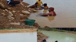 Penertiban PETI di Pulo Padang, Sumut Warga Resah Sumber Mata Pencaharian Hilang 