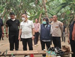 Gempur Narkoba di Ogan Ilir! Polda Sumsel, Polres OI dan BNN Sisir Desa Skonjing