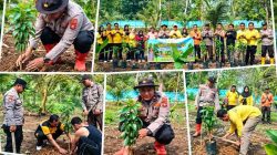 Dukung Program Quick Wins 100 Hari Kapolri, Polsek Gunung Megang Tanam 3.490 Bibit Pohon di Desa Pagar Dewa