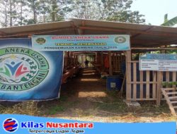 Dukung Ketahanan Pangan, Pemdes Bantengan Sukses Jalankan Program Tematik Penggemukan Kambing