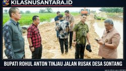 Bertahun Dikeluhkan Warga, Bupati Rokan Hulu Anton Tinjau Langsung Jalan Rusak Sontang-Duri